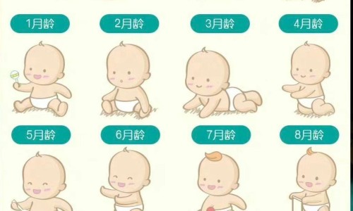 权威婴儿视力缺陷怎么治疗平台,分享专业婴幼儿视力知识_婴儿视力缺陷网